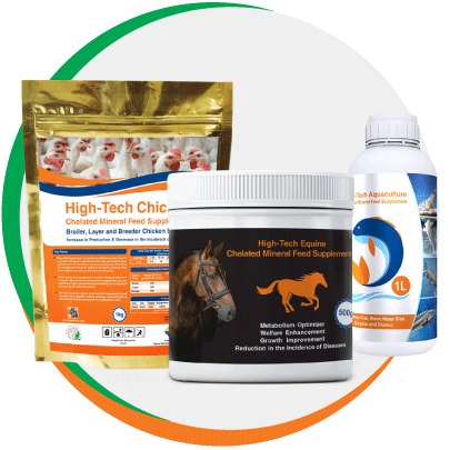 High-Tech Chelated Mineral Supplement