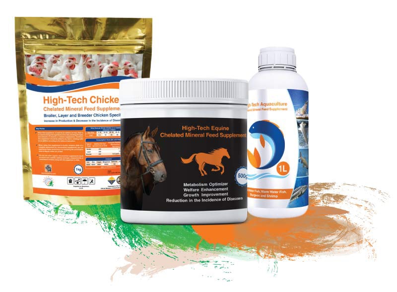 High-Tech Chelated Mineral Supplement